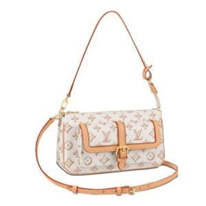 M20920 Maxi Multi Pochette Accessoires Bag